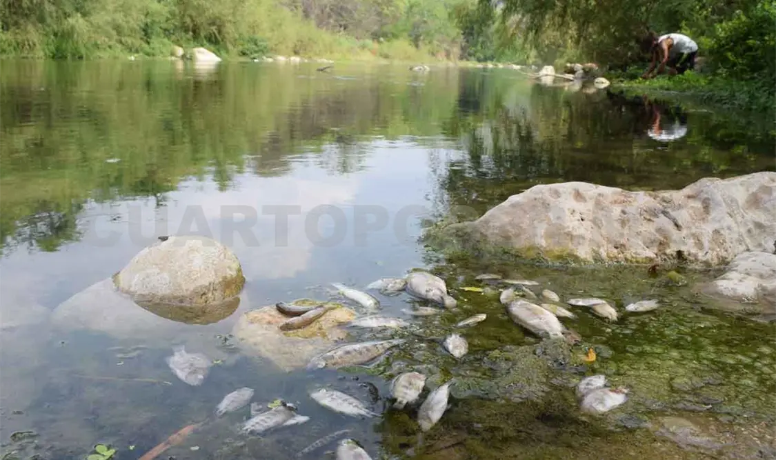 Urgen a las autoridades frenar contaminación
