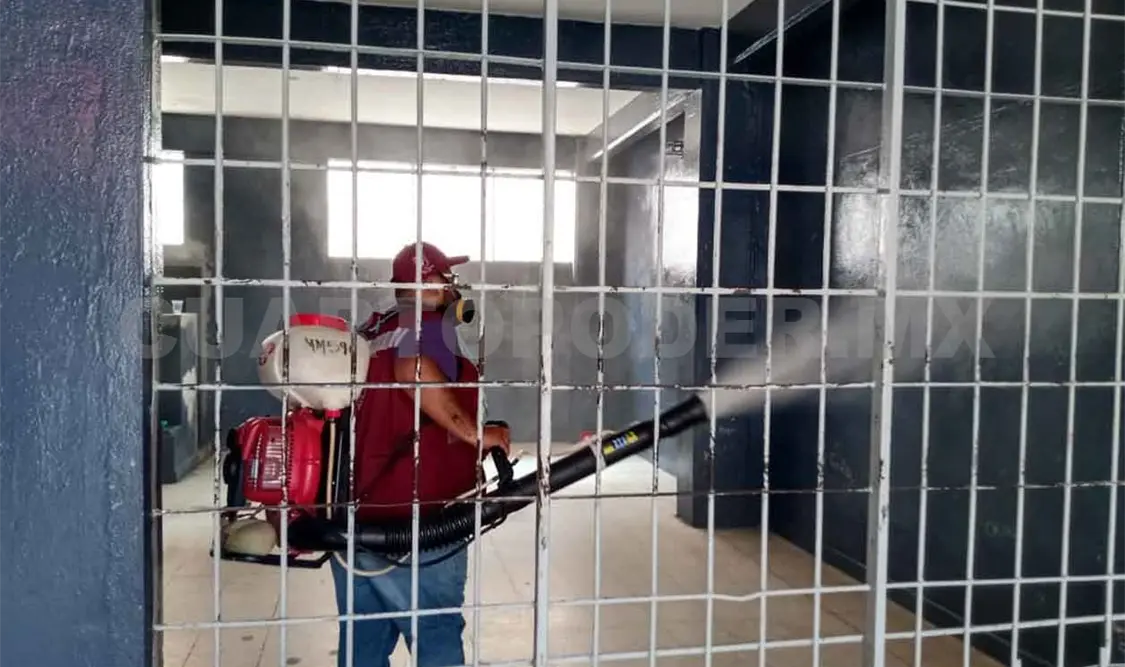 Fumigan y abatizan 11 mercados en la capital