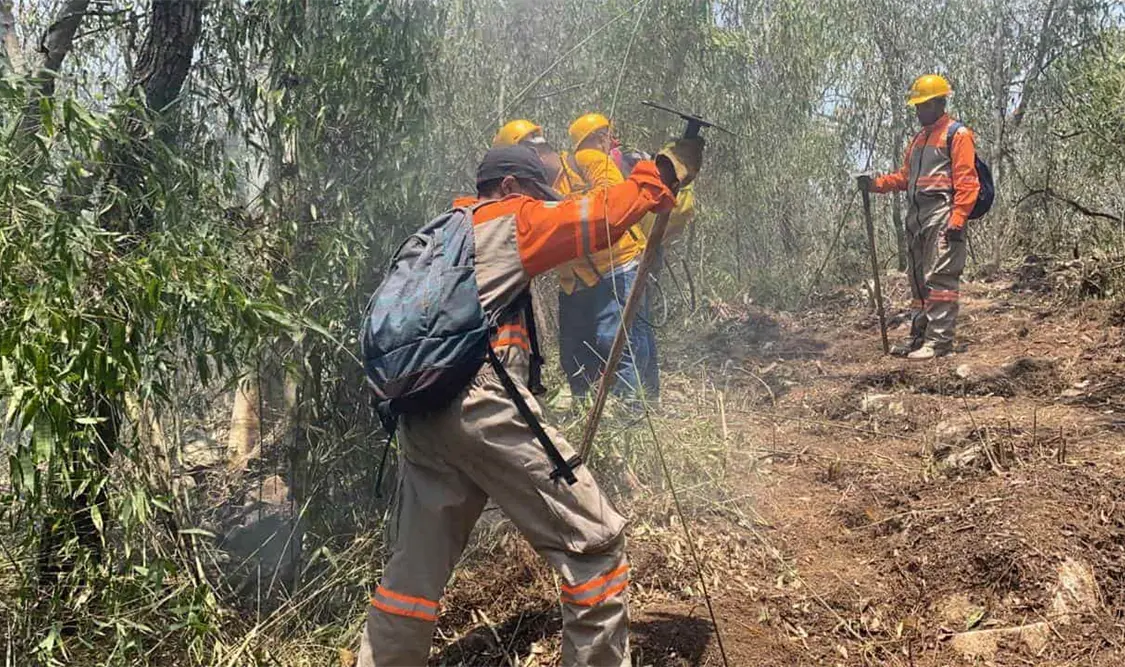 Continúa atendiéndose el incendio en el Parque Nacional Cañón del Sumidero por los 3 órdenes de gobierno