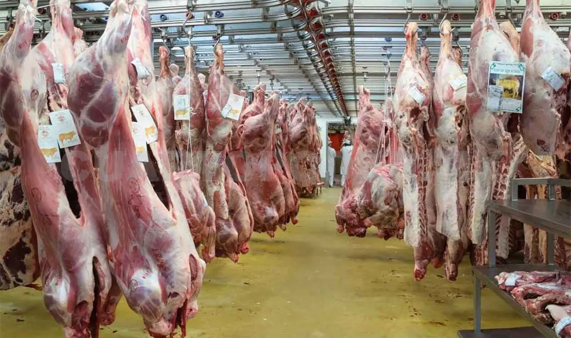 Refuerzan acciones para la producción de carne