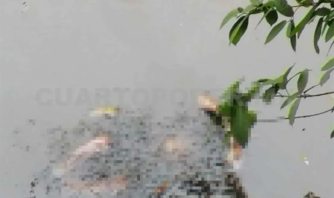 Torturan y asesinan a hombre; lo tiran al río