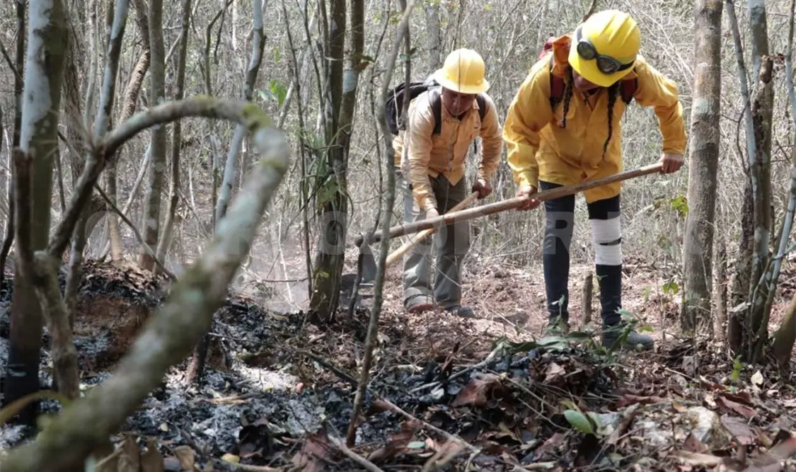 Como parte de las acciones se han realizado brechas cortafuego y trincheras para que el incendio no afecte la meseta de la Reserva. CP