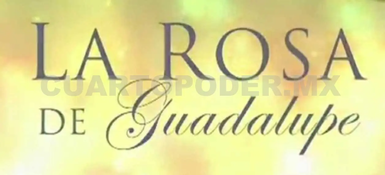 Lo más visto durante la cuarentena