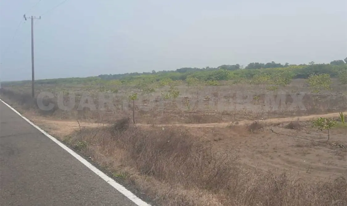 La Semar aseguró la avioneta y la carga en una pampa en la zona de El Hueyate. Víctor Sánchez / CP