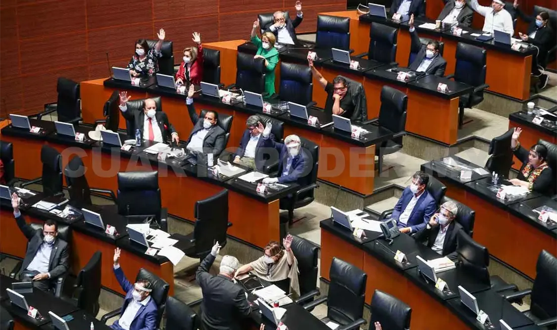 Aprueban Ley de Amnistía