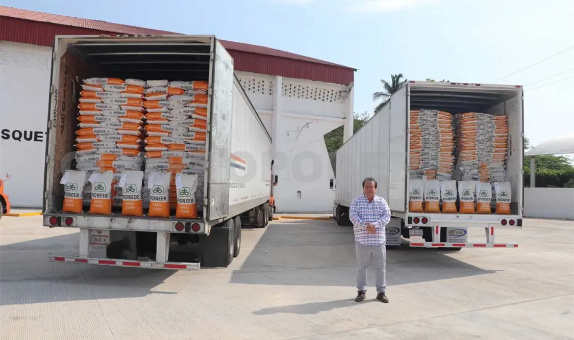 Entregan semilla de maíz a 10 mil productores