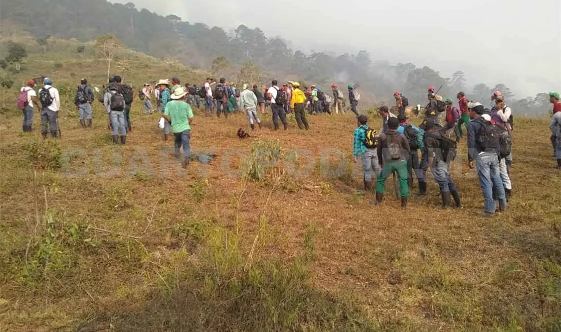 Incendio consumió 40 hectáreas de bosque
