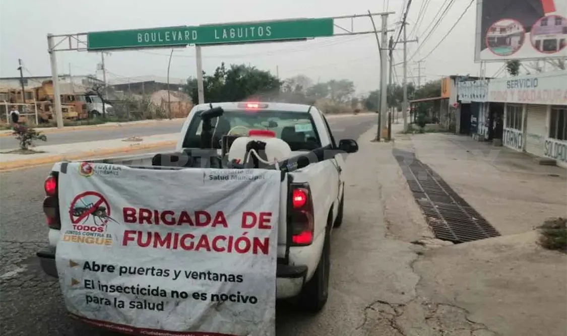 Casos de dengue podrían asociarse con el coronavirus