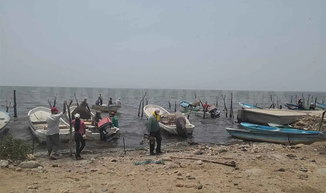 Pescadores paran sus actividades por Covid-19