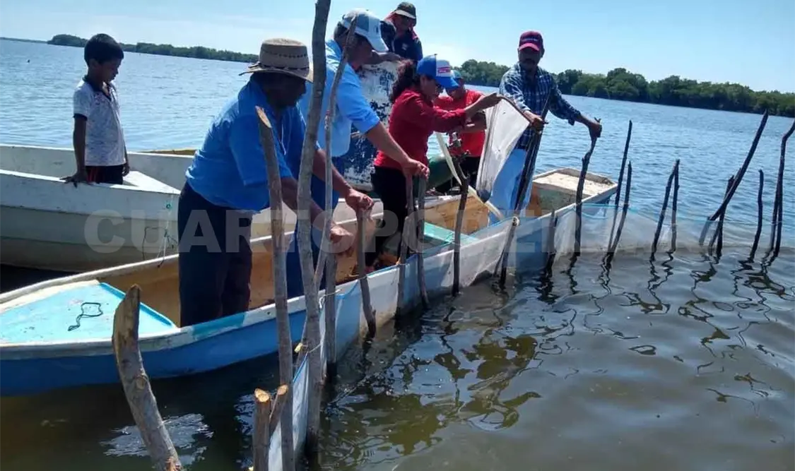 Fortalecen producción pesquera en Chiapas