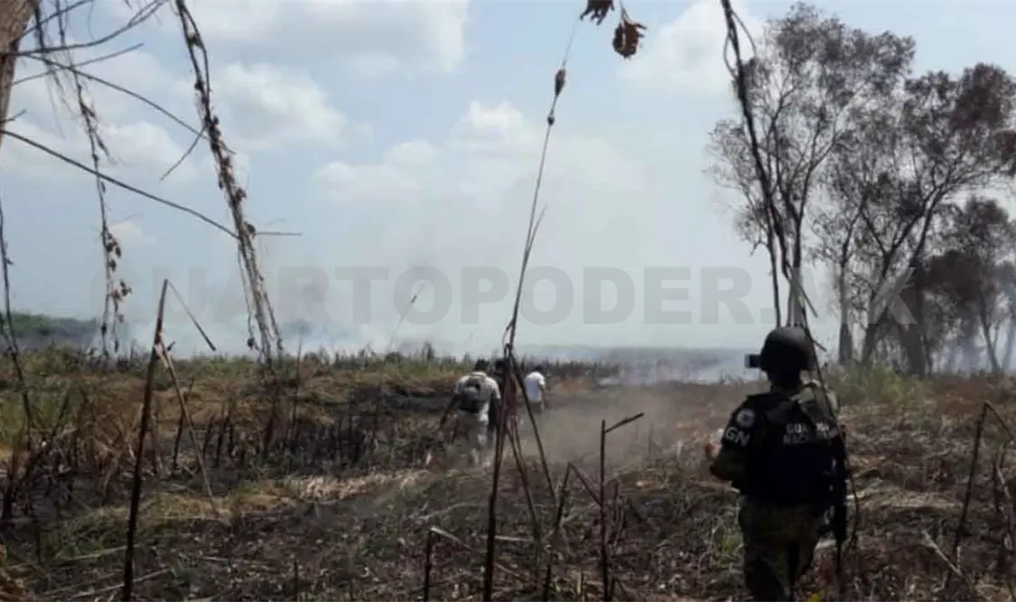 Se incendian 60 ha en La Encrucijada