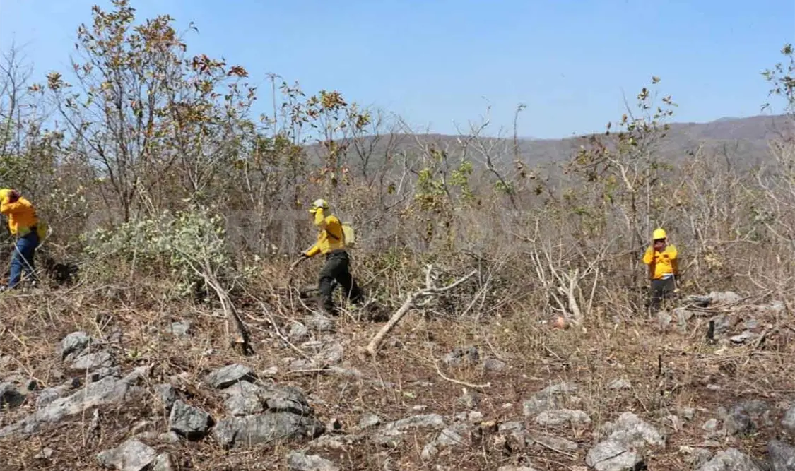Alcanza Chiapas seis mil 188 ha quemadas