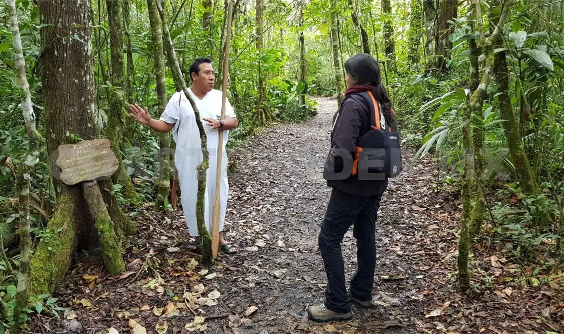 Campamentos administrados por lacandones han tenido que reprogramar las reservaciones debido a la contingencia por el coronavirus. CP