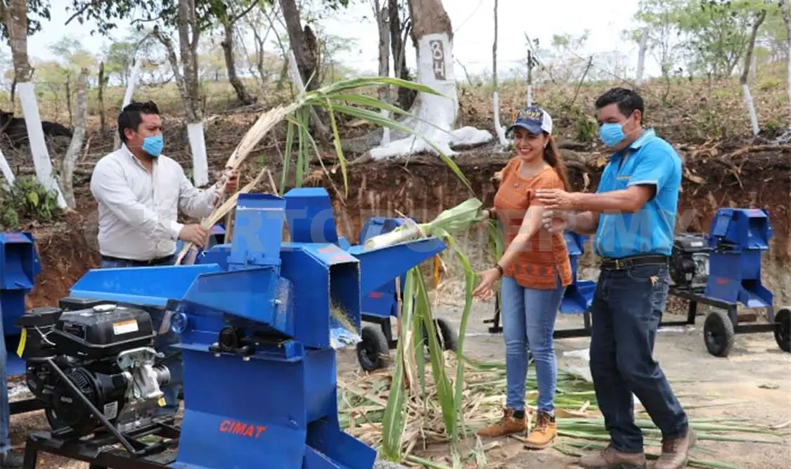 Entregan apoyos del Prodeter en Berriozábal