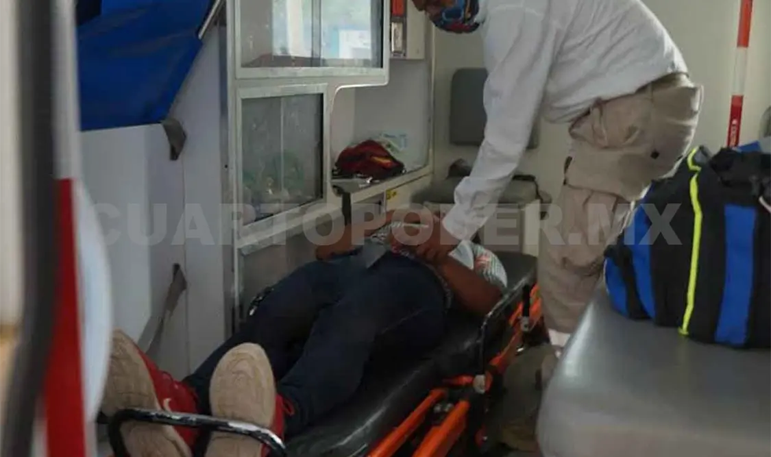 Abejas atacaron a una joven en una tortillería