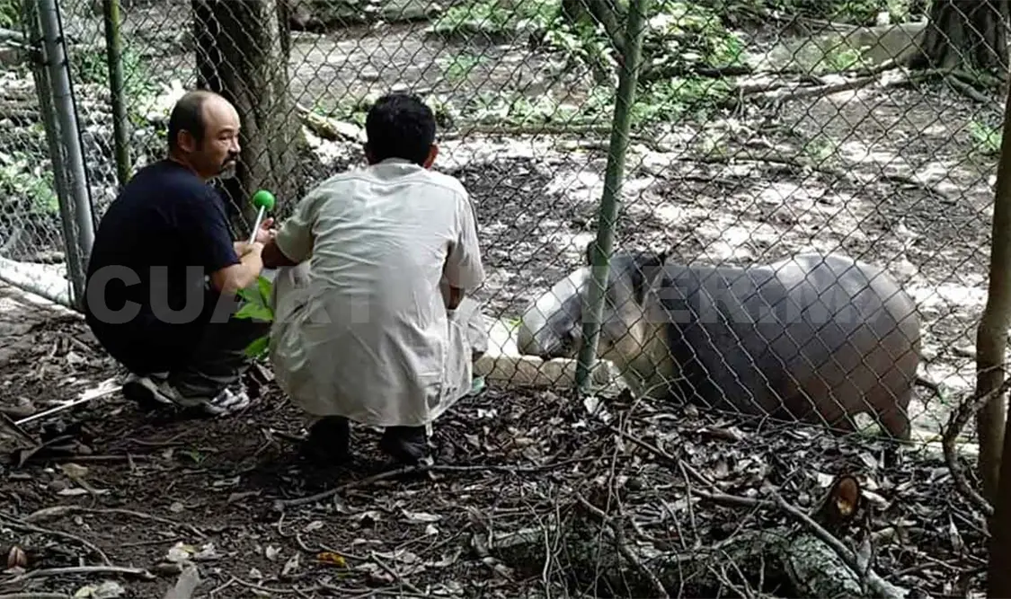 Animales del ZooMAT están en buen estado