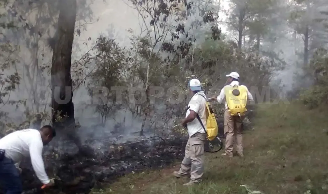 Incendios y tala de árboles causan escasez de agua