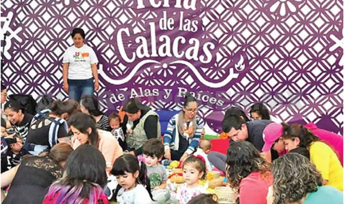 Participantes de Alas y Raíces señalan que aún hay dos impagos de Brotes desde junio de 2019, en Chihuahua y Chiapas. Cortesía