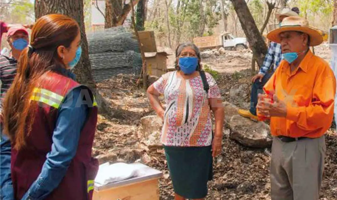 Respaldan el desarrollo productivo de Chiapas