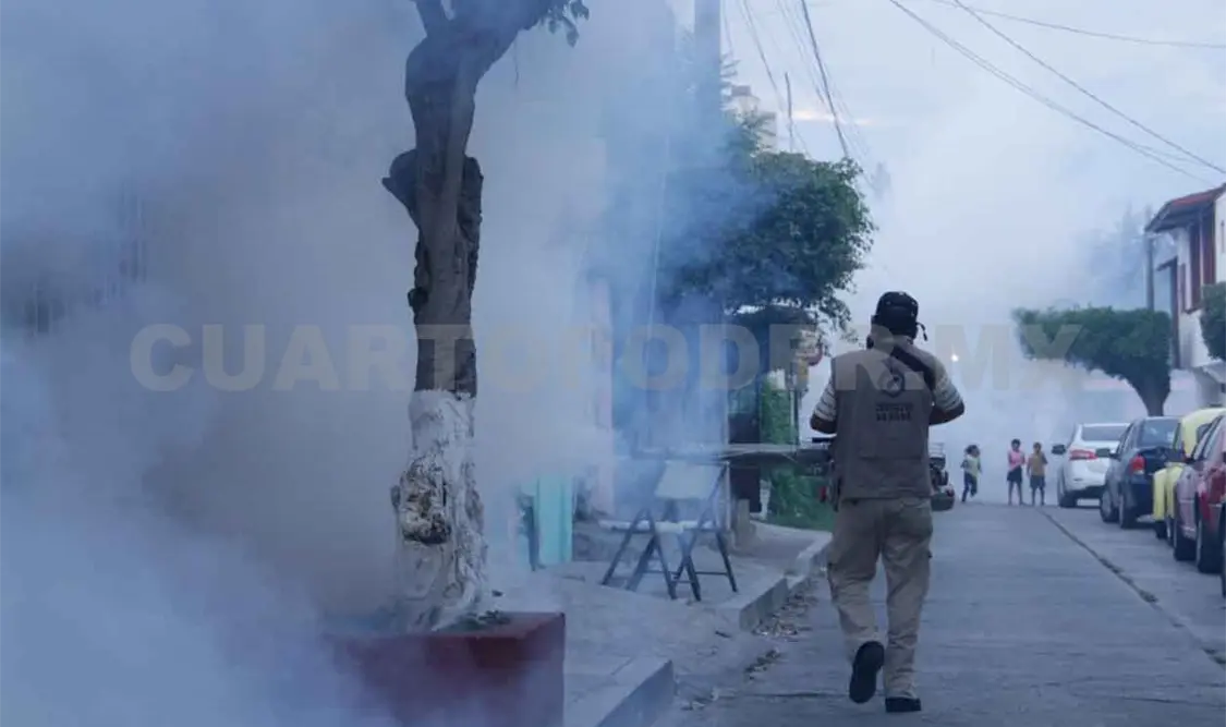 Dengue, chikungunya y zika, otras amenazas