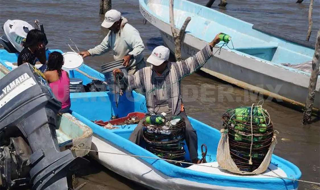 Incrementa participación de mujeres en la pesca