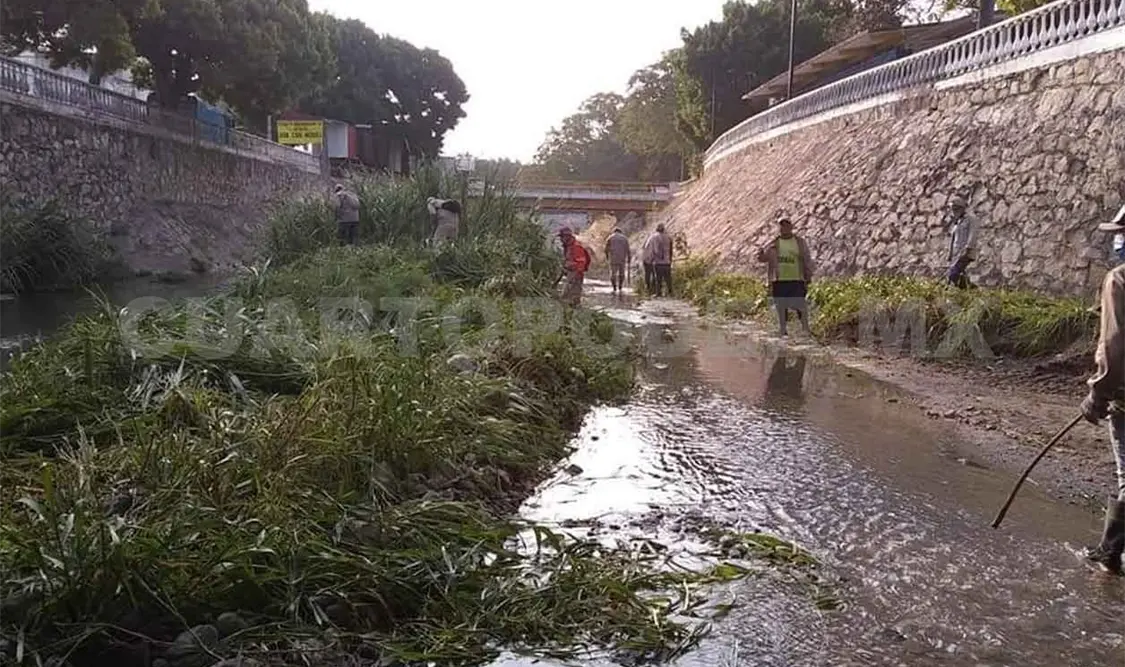 Sacan más de 600 toneladas de basura