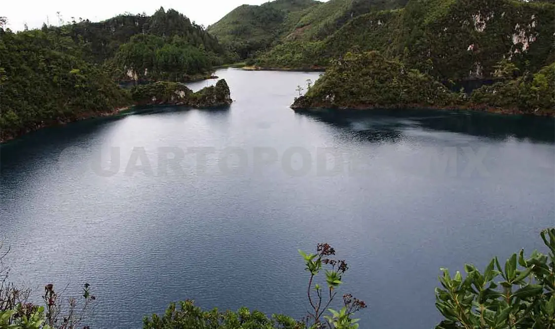 Ramsar intervendría ante destrucción de humedales