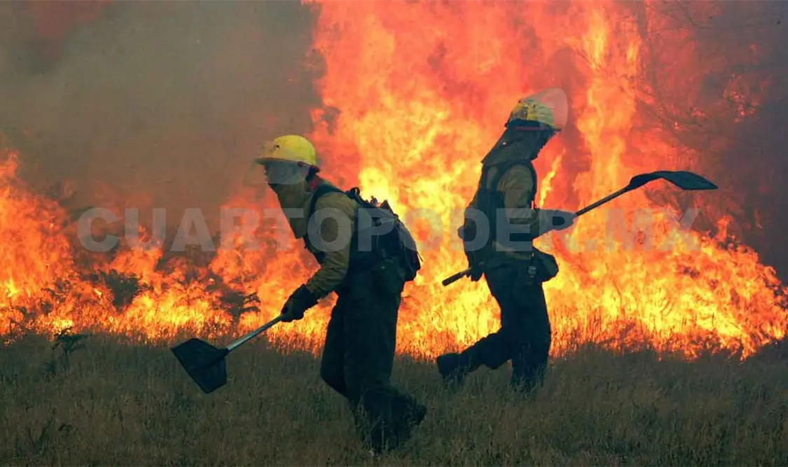 Lanzan campaña para evitar quemas agropecuarias