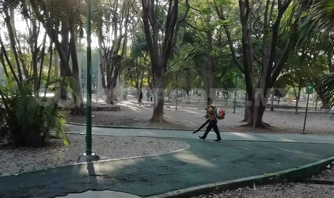 Parque del Oriente en constante cuidado