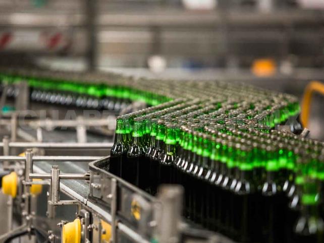 Producción de cerveza se reactivará el 1 de junio Producción de cerveza se reactivará el 1 de junio