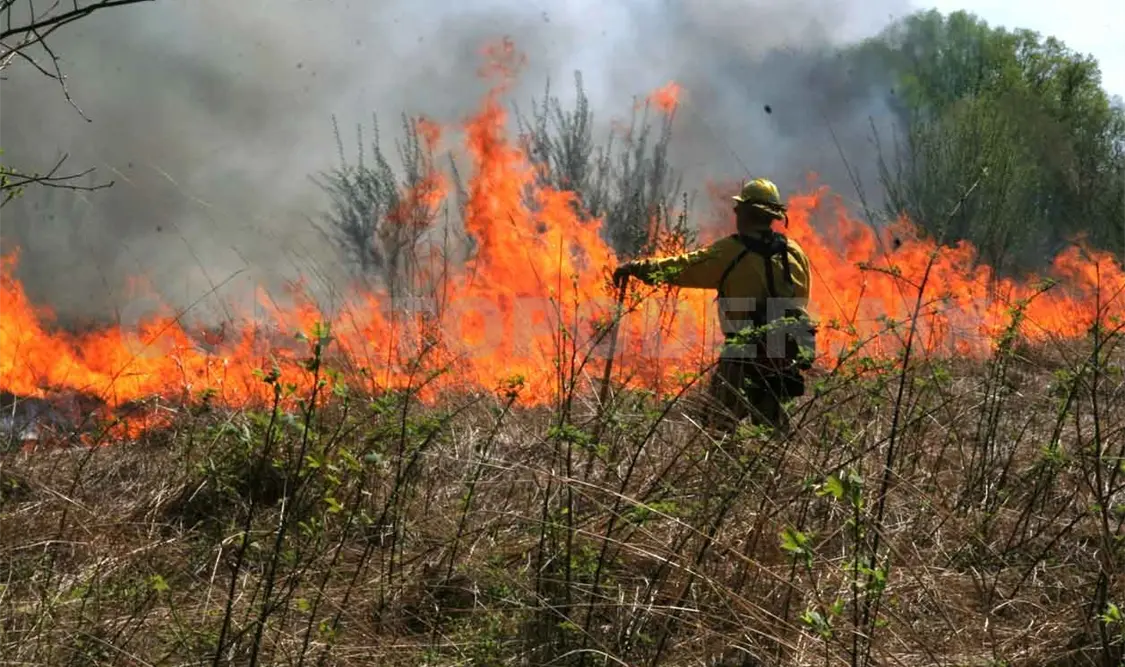 Alcanza Chiapas 11 mil 689 hectáreas quemadas