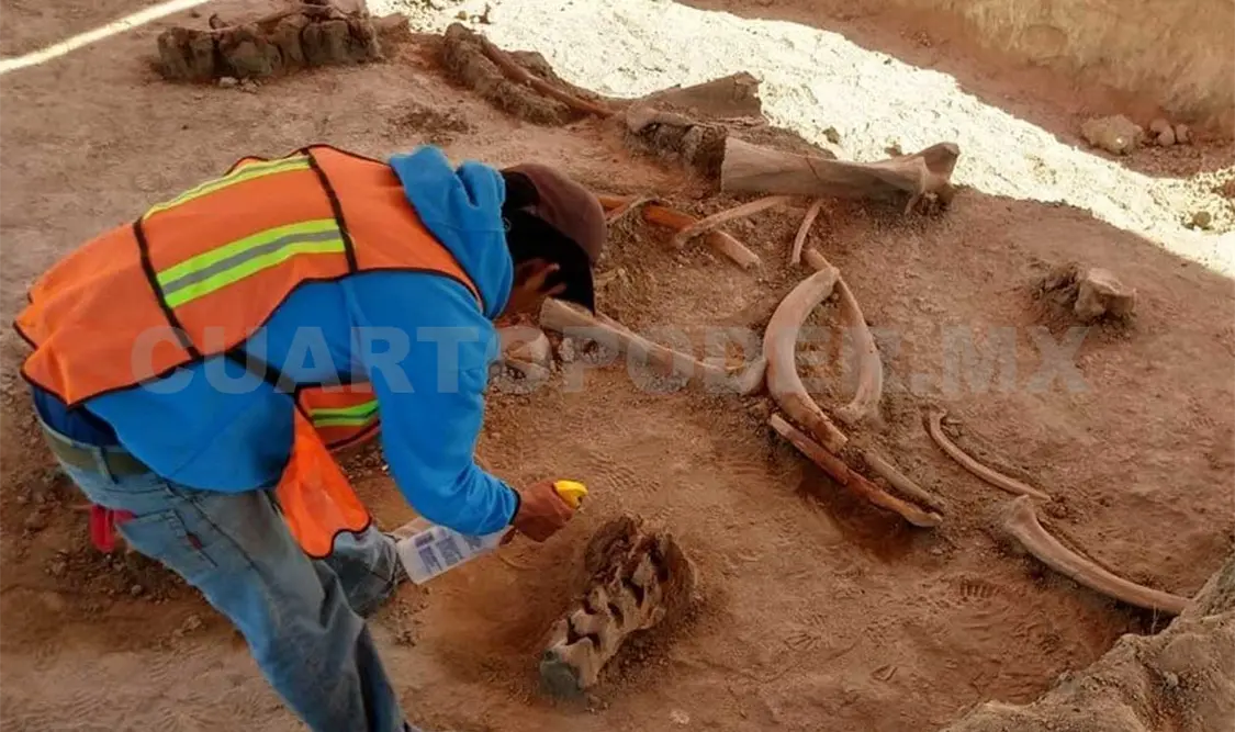 El hallazgo se hizo en la base aérea de Santa Lucía. Cortesía