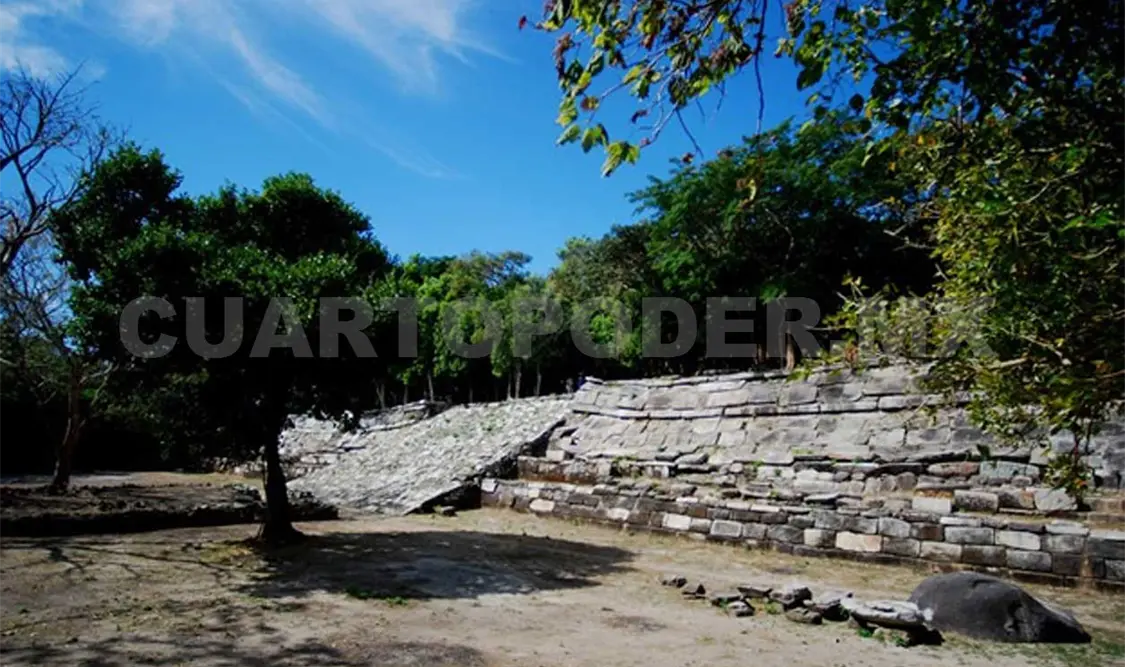 El derribo de árboles que hace un vecino en su propio terreno está afectando a las instalaciones del centro arqueológico de Iglesia Vieja. Noel Vázquez / CP