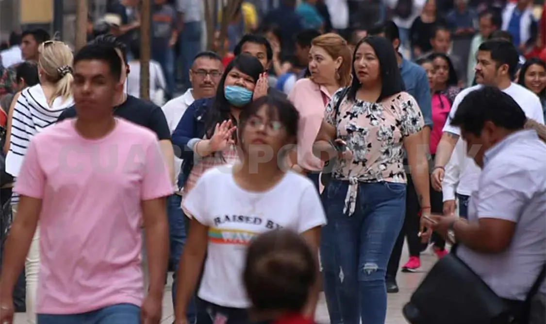 Las empresas fantasma de los cárteles mexicanos
