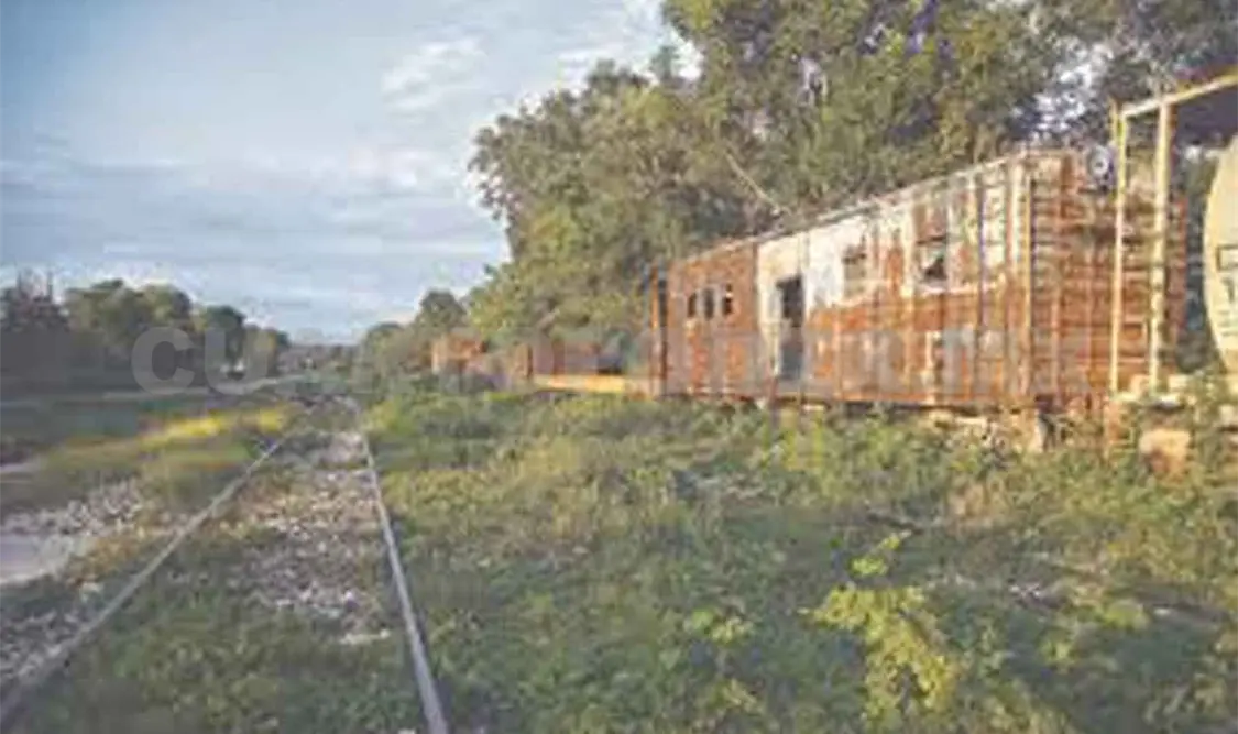 Revocan orden para frenar construcción del Tren Maya