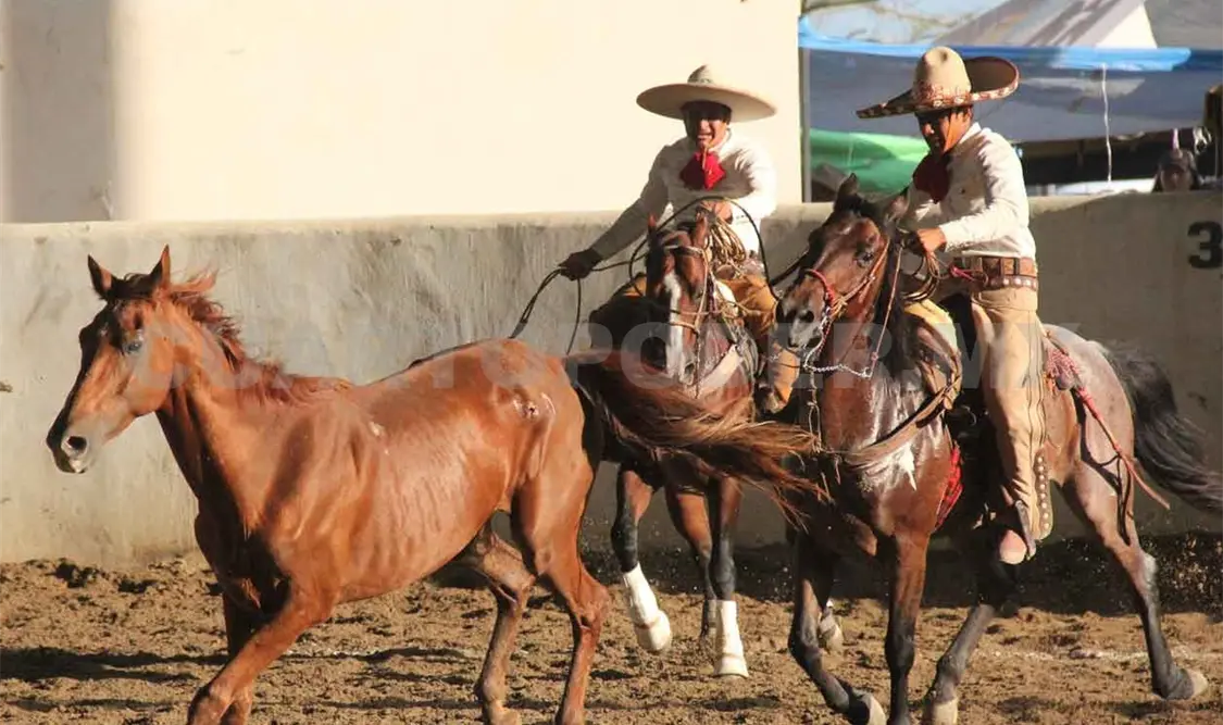 En julio volverían las competencias