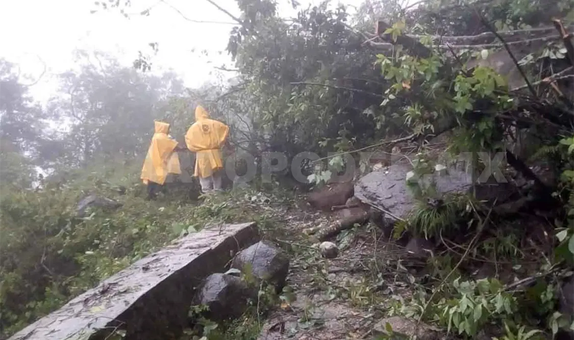 Derrumbes y caída de árboles por lluvias