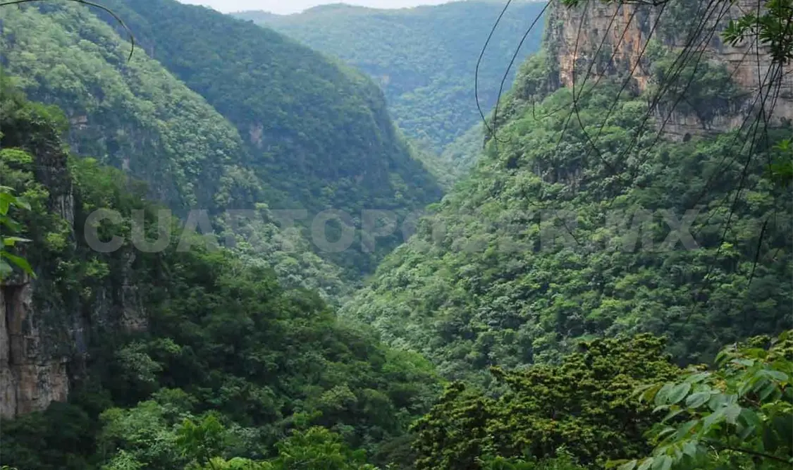 Invasiones golpean reserva de La Sepultura