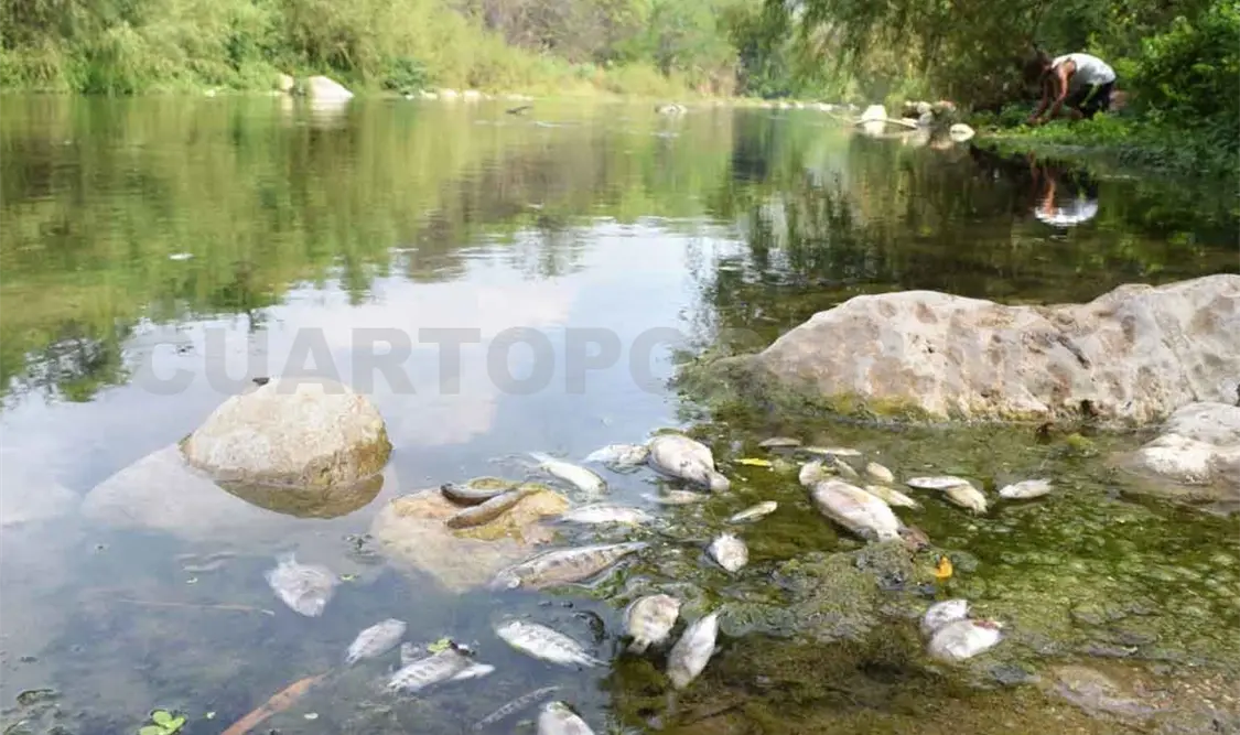 Incumplen autoridades con saneamiento a río: CNDH
