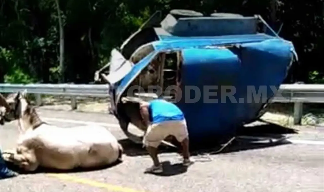 Se desprende remolque; dos caballos lastimados