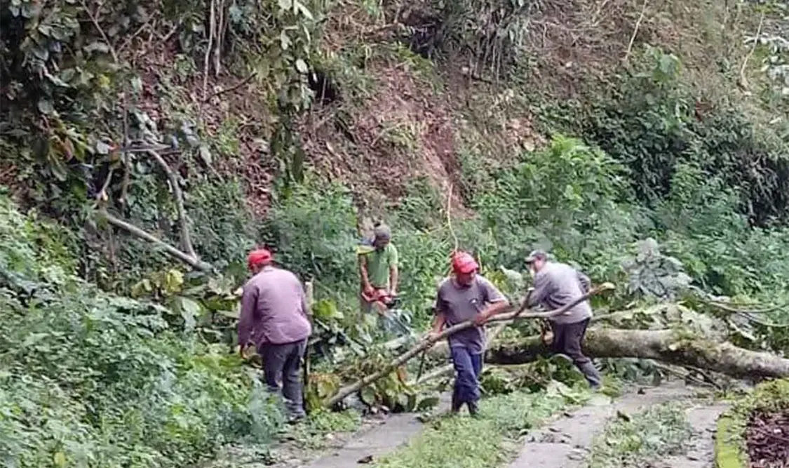 Piden atención de caminos afectados por deslaves