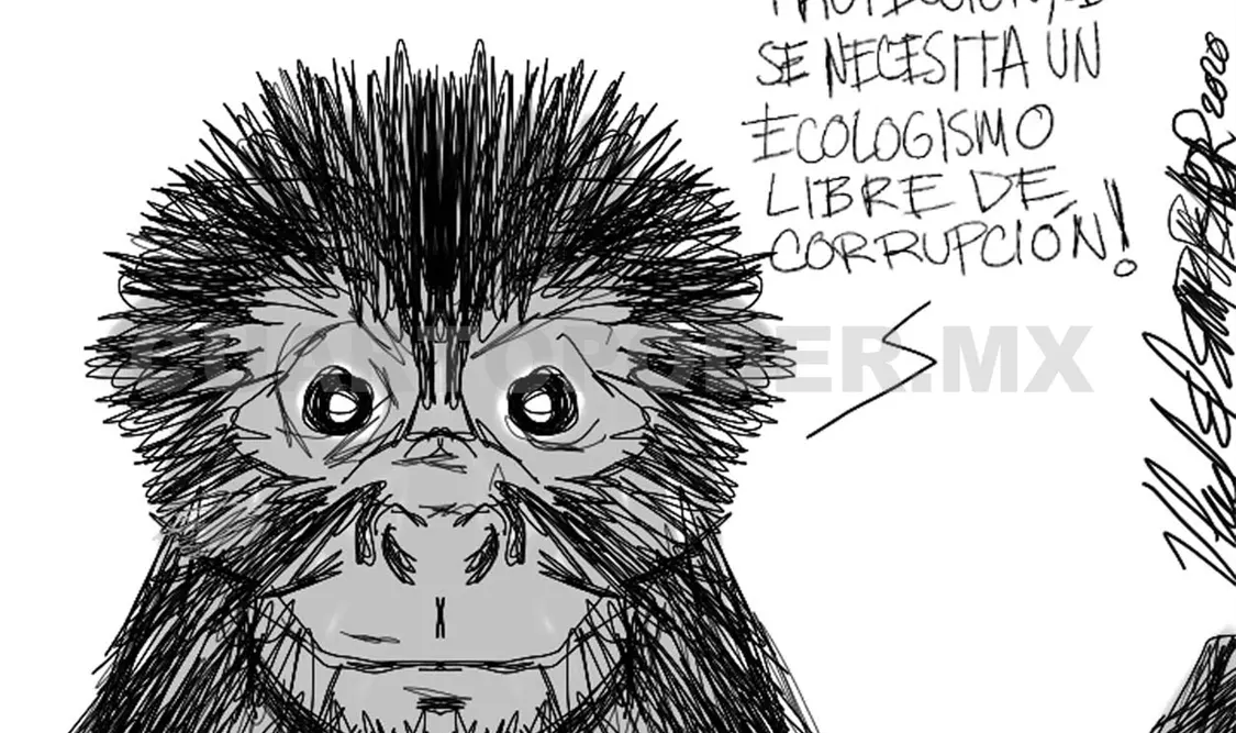 Regreso a la nueva realidad debe ser sustentable