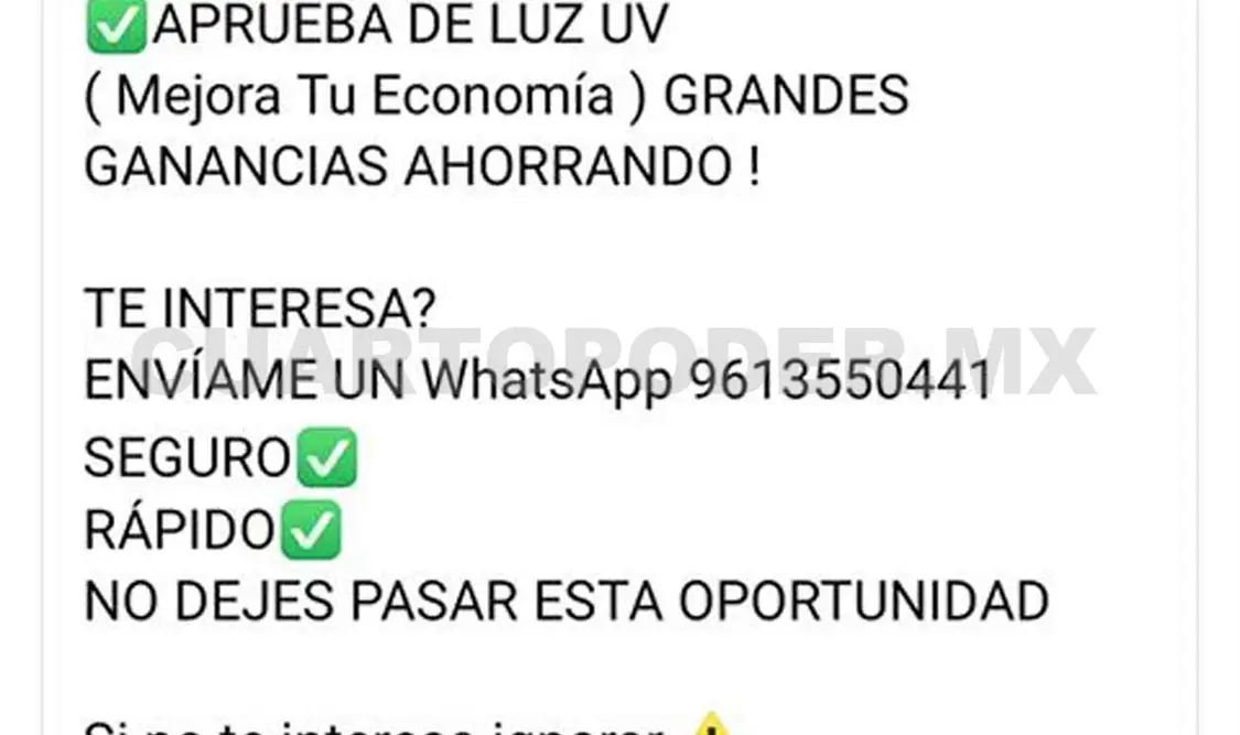 Estafas por internet, delito con mayor incidencia