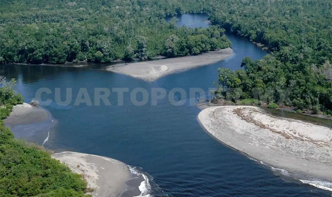 Anuncian protestas ante recorte al sector ambiental