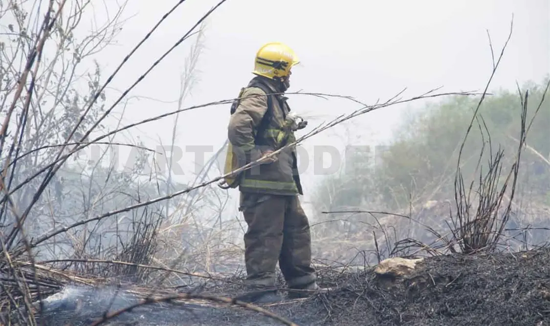 Conafor: trabajos preventivos salvaron 265 mil hectáreas del fuego