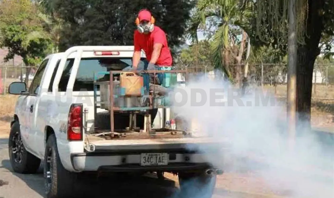 Urgen acciones para combatir el dengue