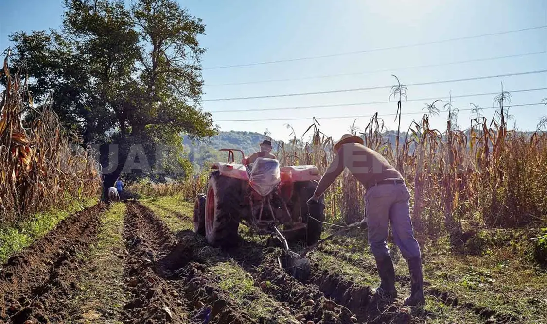 Cambio climático altera las lluvias en Chiapas