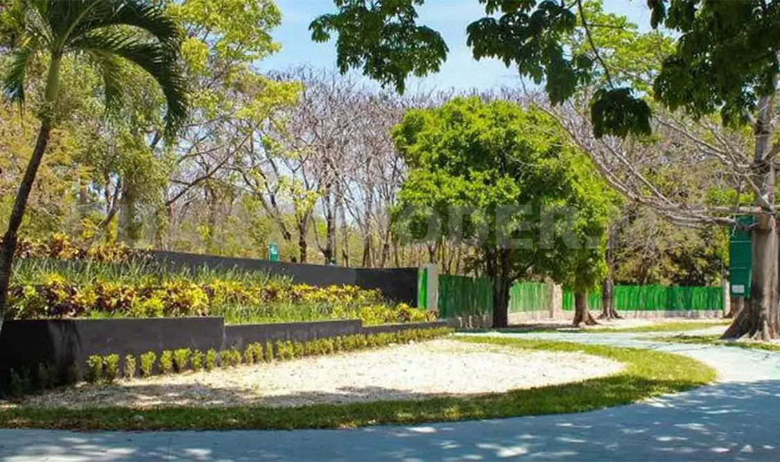 Parques listos para reabrir sus puertas