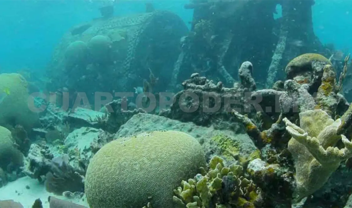 Otras de las investigaciones que pretenden realizar es el inventario y diagnóstico del patrimonio cultural de la Reserva de la Biosfera Banco Chinchorro. Cortesía