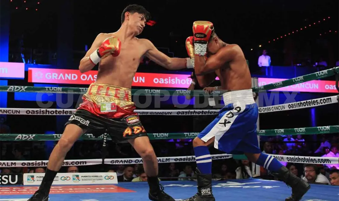 Buscan regresar con “punch”